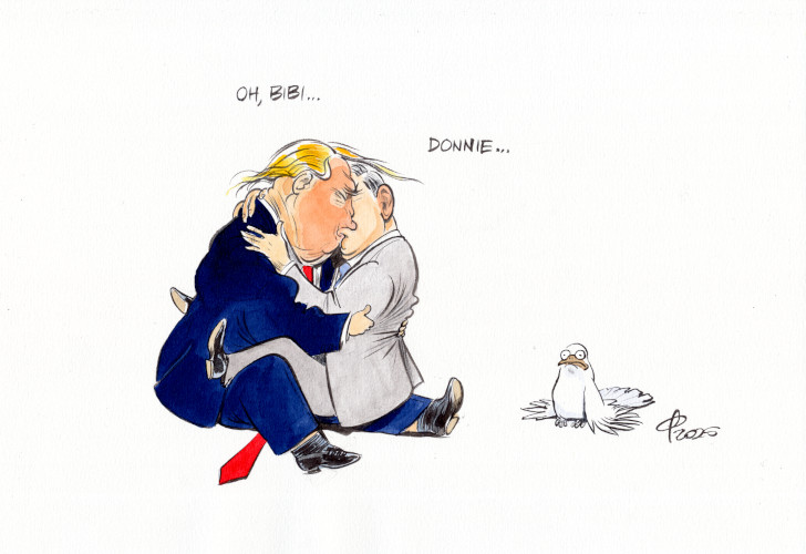 Turteltauben  Paolo Calleri